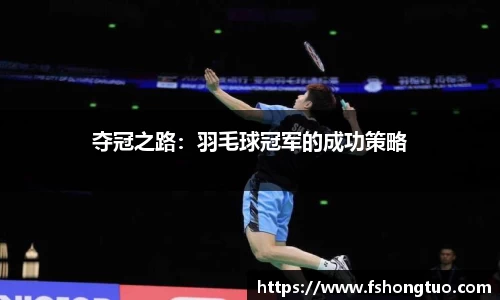 夺冠之路：羽毛球冠军的成功策略