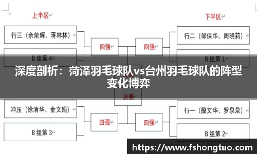 深度剖析：菏泽羽毛球队vs台州羽毛球队的阵型变化博弈